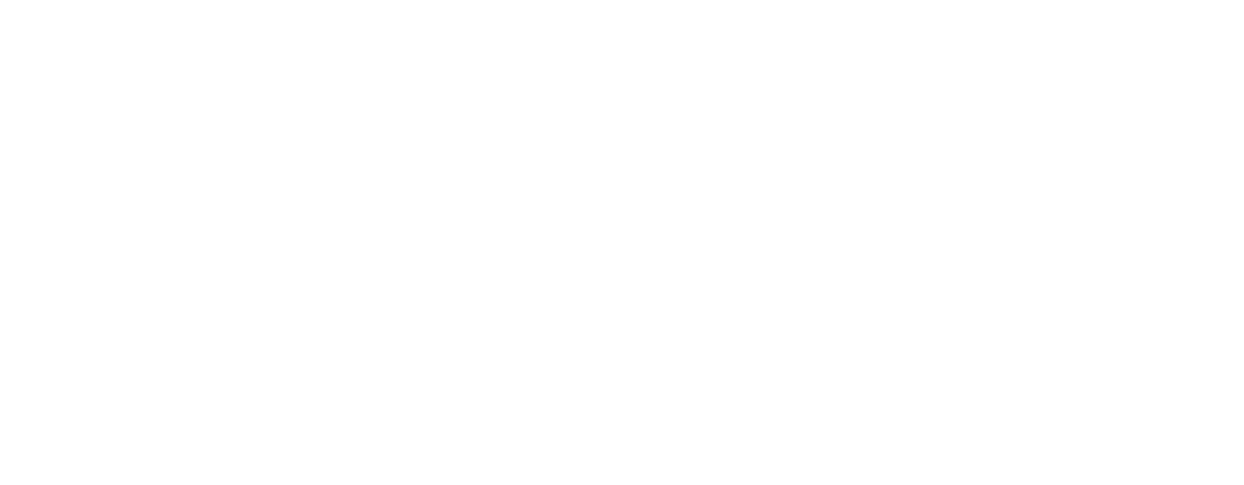 Logo Flux Overload